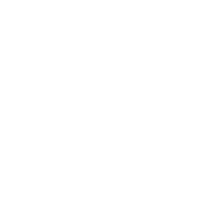 Logo Valec Nissan